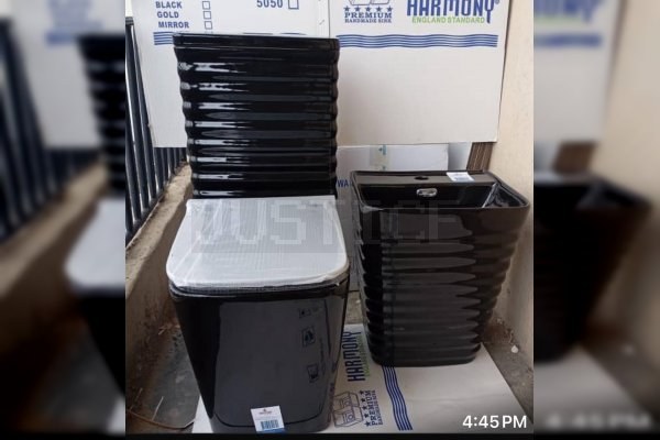 Sleek Ebony Water Closet and Wash Basin Set